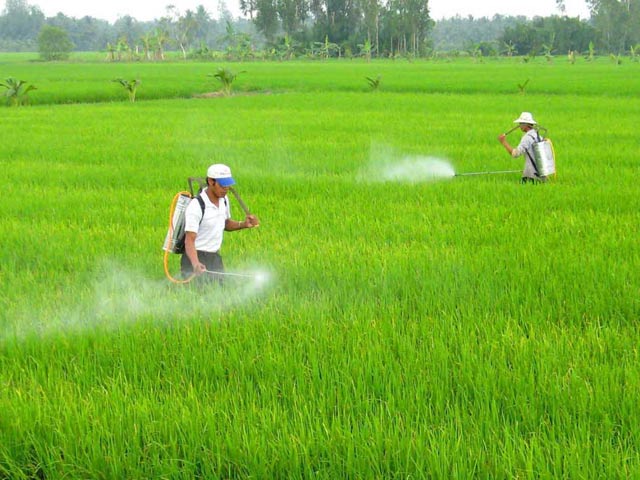 [-]“Đừng[-]làm[-]môi[-]trường[-]xấu[-]hơn[-]nữa”