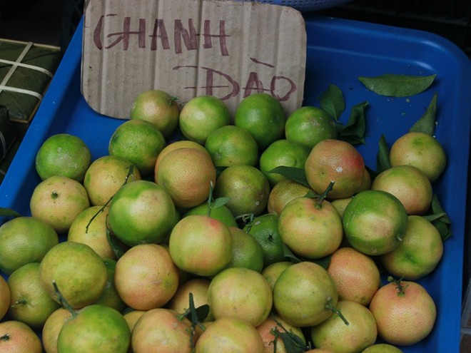 Chanh[-]đào[-]Hà[-]Nội[-]loạn[-]giá[-]ở[-]Sài[-]Gòn