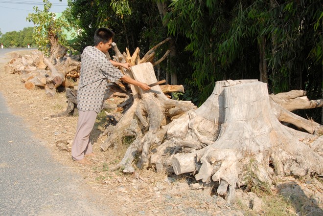 [-]Những[-]chợ[-]bán[-]đồ[-]'bỏ[-]đi'[-]độc[-]đáo[-]ở[-]miền[-]Tây