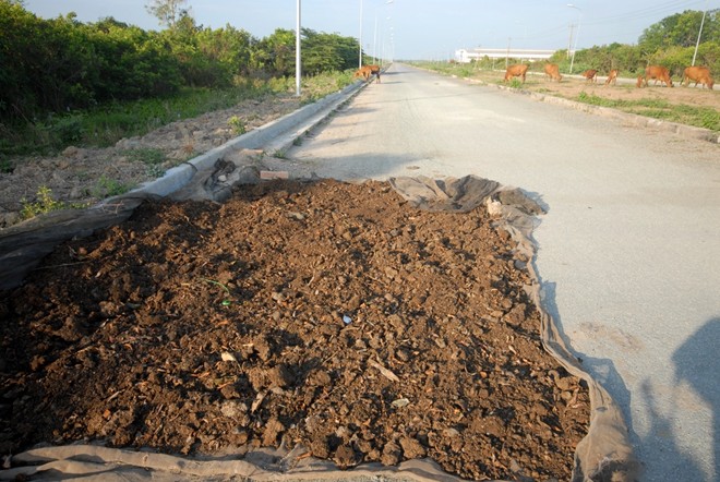 [-]Những[-]chợ[-]bán[-]đồ[-]'bỏ[-]đi'[-]độc[-]đáo[-]ở[-]miền[-]Tây