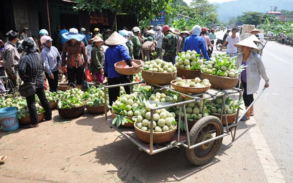 Chợ[-]na[-]lớn[-]nhất[-]miền[-]Bắc...[-]dài[-]hơn[-]1[-]km