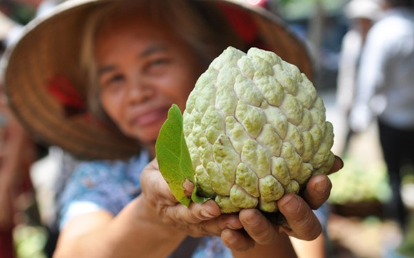 Chợ[-]na[-]lớn[-]nhất[-]miền[-]Bắc...[-]dài[-]hơn[-]1[-]km