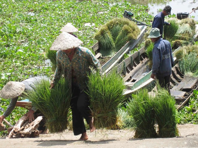 [-]Những[-]chợ[-]bán[-]đồ[-]'bỏ[-]đi'[-]độc[-]đáo[-]ở[-]miền[-]Tây