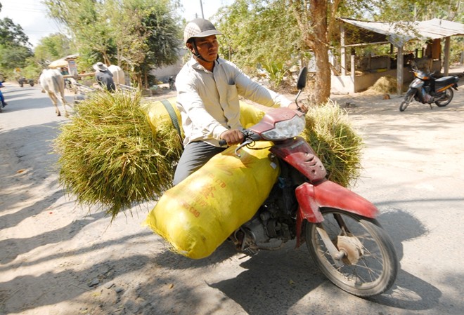 [-]Những[-]chợ[-]bán[-]đồ[-]'bỏ[-]đi'[-]độc[-]đáo[-]ở[-]miền[-]Tây