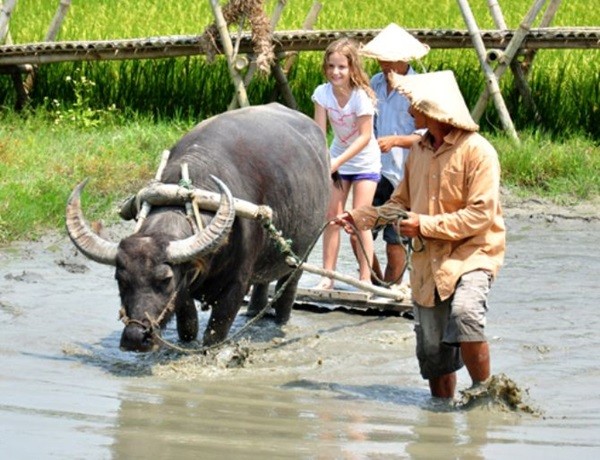 3[-]tour[-]du[-]lịch[-]dân[-]dã[-]của[-]Việt[-]Nam[-]‘đốn[-]tim’[-]du[-]khách