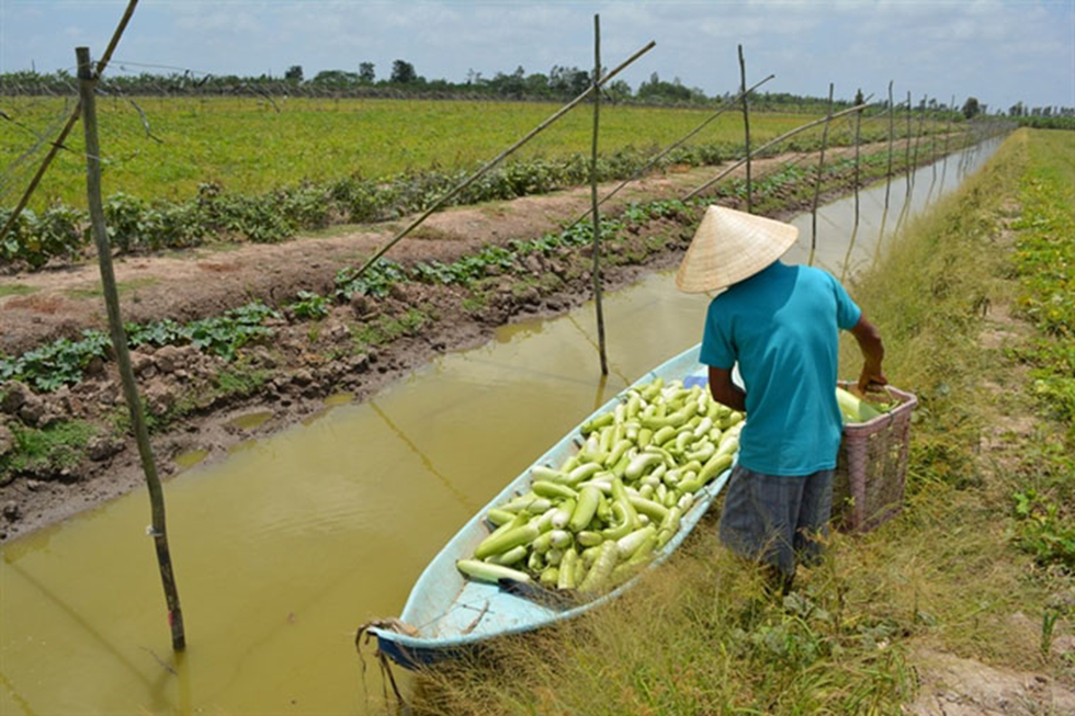 Khánh[-]Hòa[-]dành[-]hơn[-]48[-]tỷ[-]đồng[-]hỗ[-]trợ[-]nông[-]dân[-]chuyển[-]đổi[-]cây[-]trồng[-]tránh[-]hạn[-]
