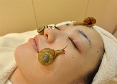 Có[-]nên[-]dùng[-]ốc[-]sên[-]làm[-]đẹp?
