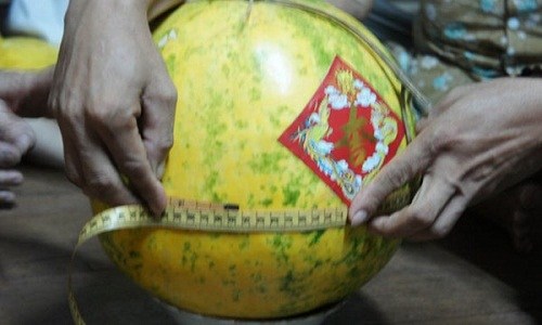 Dưa[-]lạ[-]ở[-]Đồng[-]Tháp,[-]9[-]tháng[-]không[-]hỏng