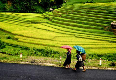 Thời[-]tiết[-]ngày[-]27/10:[-][-]Đầu[-]tuần[-]miền[-]Bắc[-]có[-]nắng[-]nhẹ,[-]mưa[-]ở[-]miền[-]Trung[-]giảm[-]dần