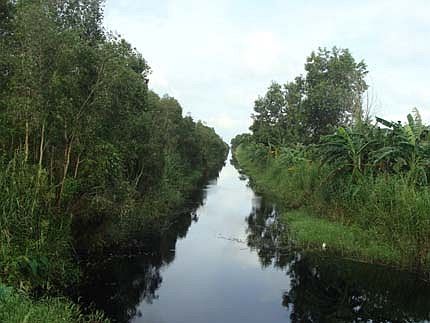 [-]Đắp[-]đập[-]giữ[-]nước[-]cho[-]rừng[-]tràm[-]U[-]Minh[-]Hạ