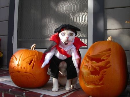 Những[-]con[-]số[-]ấn[-]tượng[-]về[-]Halloween