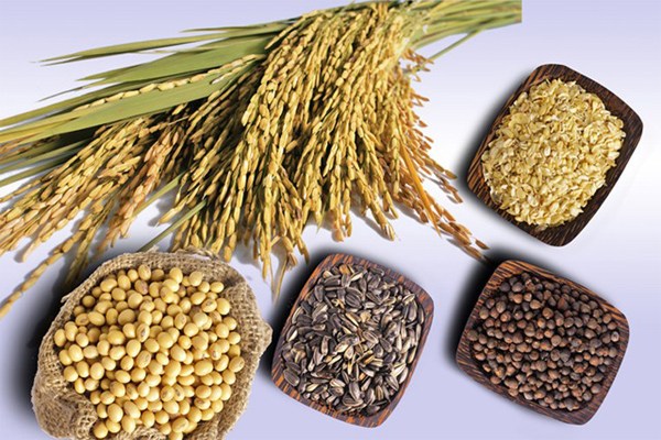 Những[-]loại[-]thực[-]phẩm[-]gây[-]nguy[-]hiểm[-]khi[-]ăn[-]nhiều