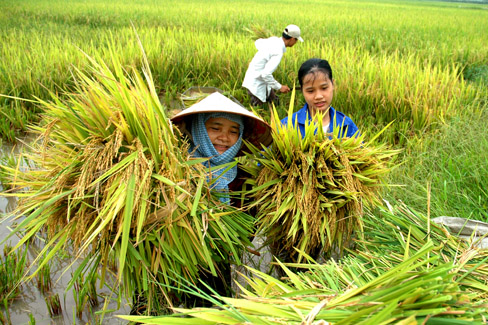 [-]Đắk[-]Lắk:[-]Giúp[-]1.000[-]phụ[-]nữ[-]các[-]dân[-]tộc[-]thoát[-]nghèo[-]bền[-]vững