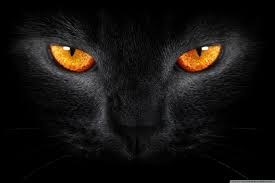 Những[-]truyền[-]thuyết[-]lạ[-]lùng[-]về[-]Halloween