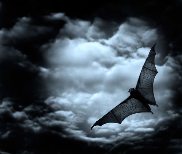 [-]7[-]biểu[-]tượng[-]ma[-]quái[-]thường[-]xuất[-]hiện[-]trong[-]Halloween
