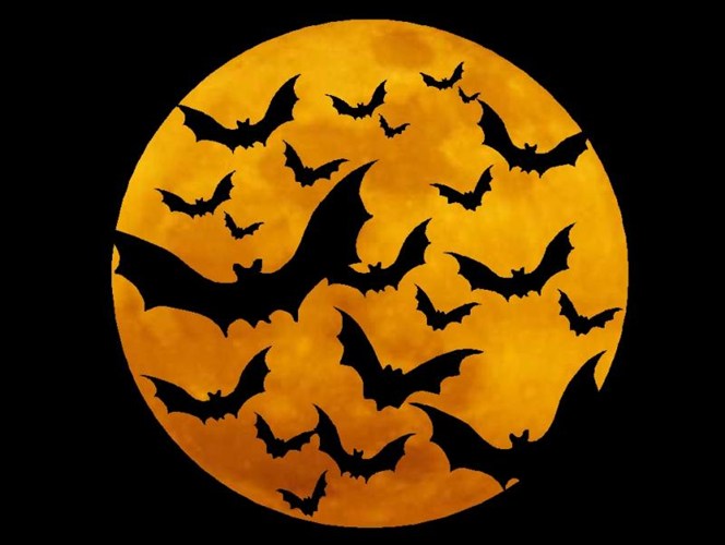 Những[-]truyền[-]thuyết[-]lạ[-]lùng[-]về[-]Halloween