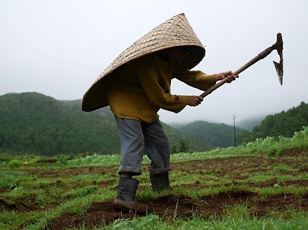 Đến[-]thăm[-]nơi[-]ẩm[-]ướt[-]nhất[-]thế[-]giới