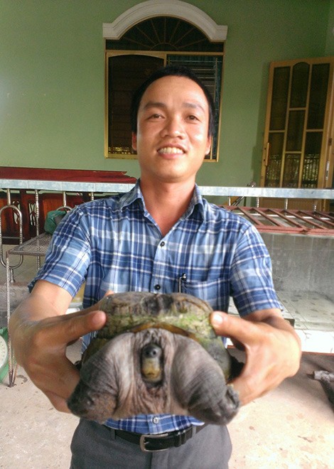 Phát[-]hiện[-]con[-]rùa[-]'siêu[-]dị'[-]ở[-]Tiền[-]Giang[-]