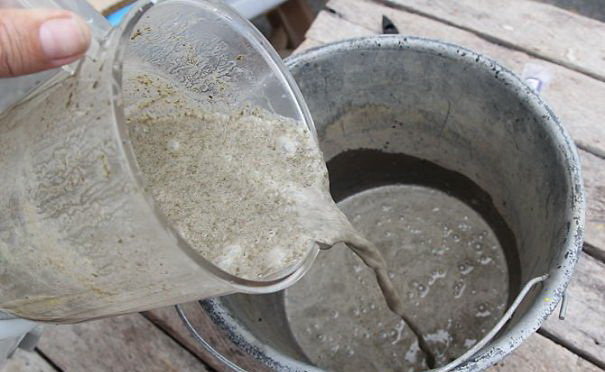 Nghệ[-]thuật[-]đường[-]phố[-]"xanh"[-]