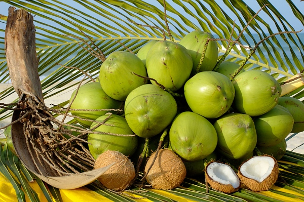 [-]Loại[-]nước[-]uống[-]giúp[-]sạch[-]ruột,[-]tiêu[-]hóa[-]tốt