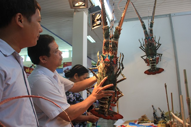 Tôm[-]hùm[-]tre[-]có[-]giá[-]bán[-]1[-]triệu[-]đồng[-]một[-]con[-]