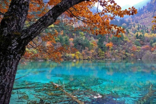 Đẹp đến nghẹt thở: Sắc màu lộng lẫy của thiên nhiên