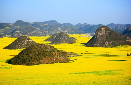 Đẹp đến nghẹt thở: Sắc màu lộng lẫy của thiên nhiên (tiếp theo)