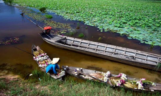 Niềm vui theo con nước nổi 4