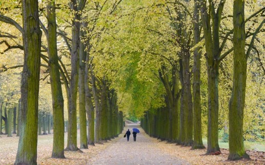 Loạt ảnh mùa thu Berlin đẹp như tranh 10