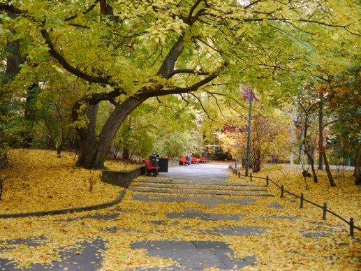 Loạt ảnh mùa thu Berlin đẹp như tranh 4