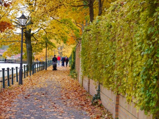 Loạt ảnh mùa thu Berlin đẹp như tranh 5