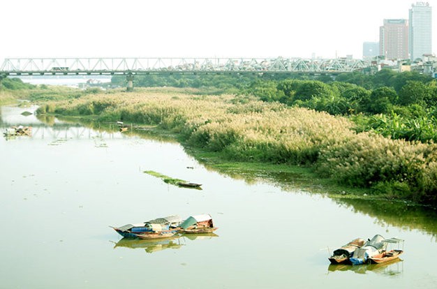 [-]Có[-]một[-]mùa[-]cỏ[-]lau[-]bên[-]bờ[-]sông[-]Hồng