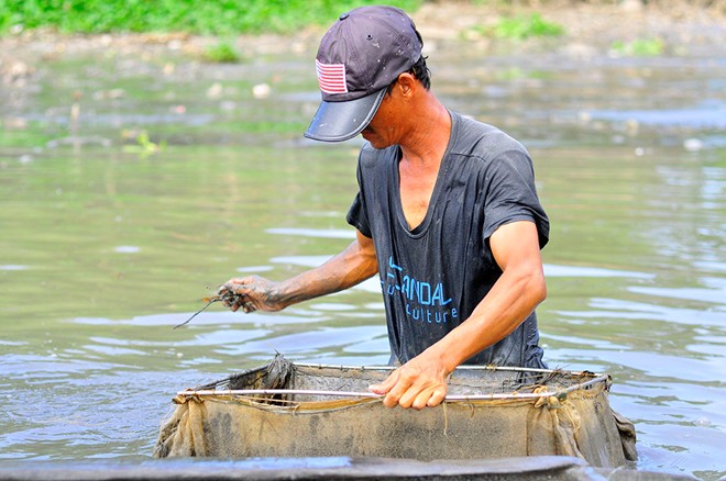 Cận[-]cãnh[-]ngâm[-]mình[-]dưới[-]nước[-]ô[-]nhiễm[-]đãi[-]trùn[-]chỉ[-]mưu[-]sinh
