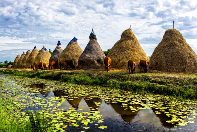 [-]Ngắm[-]30[-]ảnh[-]Phong[-]cảnh[-]đẹp[-]vào[-]chung[-]kết[-]Cuộc[-]thi[-]Ảnh[-]VnExpress