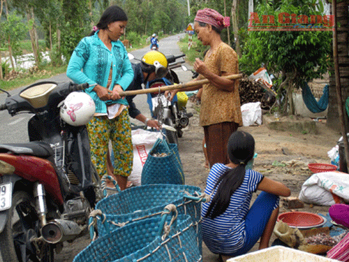 http://media.cpeco.vn/public/media/media/picture/11/calammam1_eaa99.gif