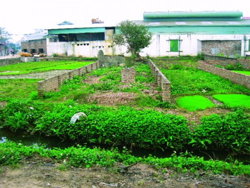Lấn,[-]chiếm[-]đất[-]ở[-]phạt[-]đến[-]10[-]triệu[-]đồng