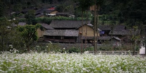 Tam[-]giác[-]mạch[-]còn[-]lại[-]gì[-]sau[-]cơn[-]lốc[-]du[-]khách?