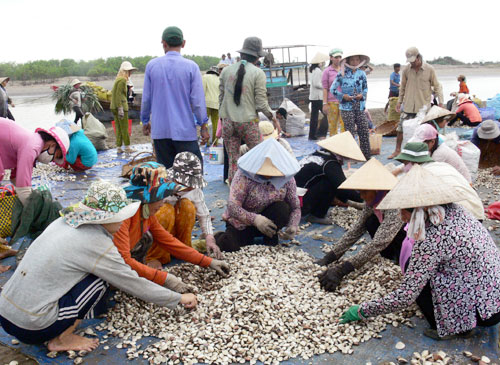 Hội[-]thảo[-]toàn[-]quốc[-]về[-]mối[-]liên[-]hệ[-]giữa[-]rừng[-]ngập[-]mặn[-]và[-]nguồn[-]lợi[-]nghêu