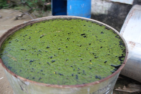 Trở[-]lại[-]“điểm[-]nóng[-]môi[-]trường"[-]chấn[-]động[-]dư[-]luận[-]ở[-]Thanh[-]Hóa[-]sau[-]một[-]năm