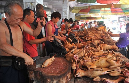 Chợ[-]thịt[-]chó[-]ở[-]Ngọc[-]Lâm,[-]Quảng[-]Tây,[-]Trung[-]Quốc.[-]Ảnh:[-]China[-]Daily.