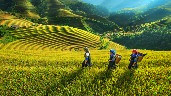 Phát[-]triển[-]kinh[-]tế-xã[-]hội[-]vùng[-]Tây[-]Bắc:[-]Bộ[-]đội[-]Biên[-]phòng[-]giúp[-]đồng[-]bào[-]vùng[-]cao[-]xóa[-]đói[-]giảm[-]nghèo