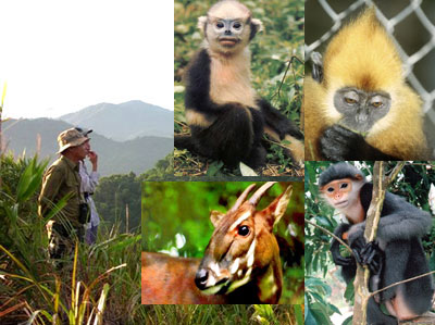 Bảo[-]tồn[-]đa[-]dạng[-]sinh[-]học[-]ở[-]Việt[-]Nam[-]-[-]thực[-]trạng[-]và[-]giải[-]pháp