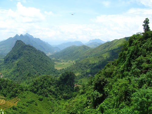 Thừa[-]Thiên[-]-[-]Huế:[-]Hội[-]thảo[-]tham[-]vấn[-]về[-]Luật[-]Bảo[-]vệ[-]và[-]phát[-]triển[-]rừng[-]2004