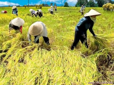 Hiệu[-]quả[-]mô[-]hình[-]giúp[-]đỡ[-]người[-]lầm[-]lỗi[-]hoàn[-]lương