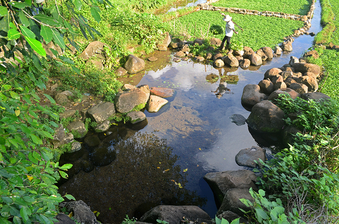 Quảng[-]Trị[-]khôi[-]phục[-]giếng[-]cổ[-]2.000[-]năm[-]ở[-]Gio[-]An