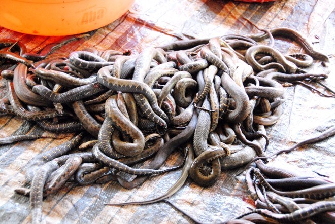 Điểm[-]sơ[-]cách[-]thức[-]sản[-]xuất[-]khô[-]rắn[-]độc[-]nhất[-]ở[-]miền[-]Tây