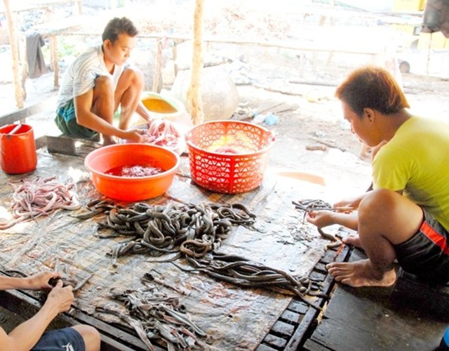 Điểm[-]sơ[-]cách[-]thức[-]sản[-]xuất[-]khô[-]rắn[-]độc[-]nhất[-]ở[-]miền[-]Tây