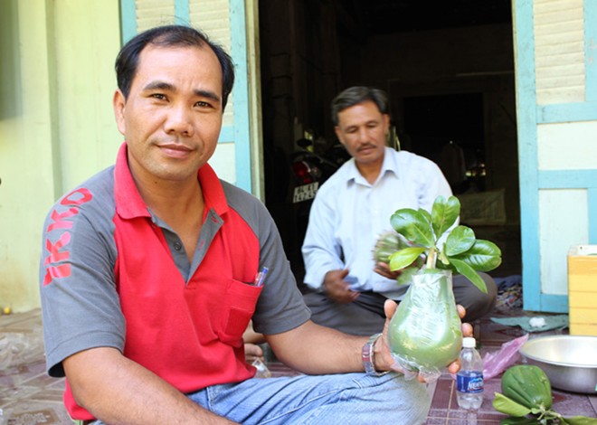 Kì[-]lạ:[-]Bưởi[-]bàn[-]tay[-]Phật[-]mới[-]xuất[-]hiện