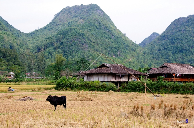 [-]Bình[-]minh[-]rực[-]trên[-]thung[-]lũng[-]Bắc[-]Sơn