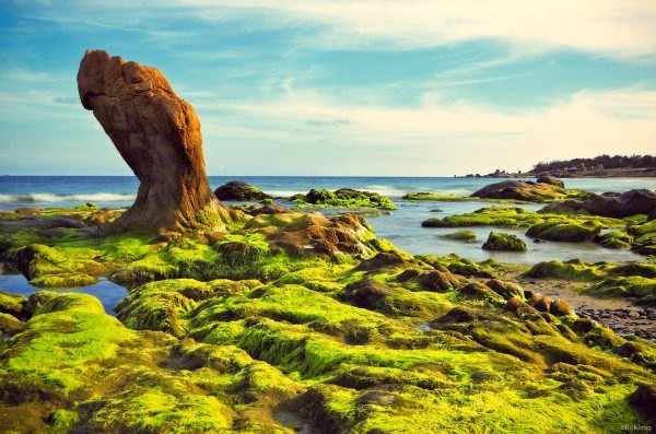Những[-]bức[-]ảnh[-]đẹp[-]mê[-]hồn[-]khó[-]tin[-]được[-]chụp[-]ở[-]Việt[-]Nam[-]